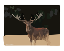 Load image into Gallery viewer, The Deer - SKETCHICO