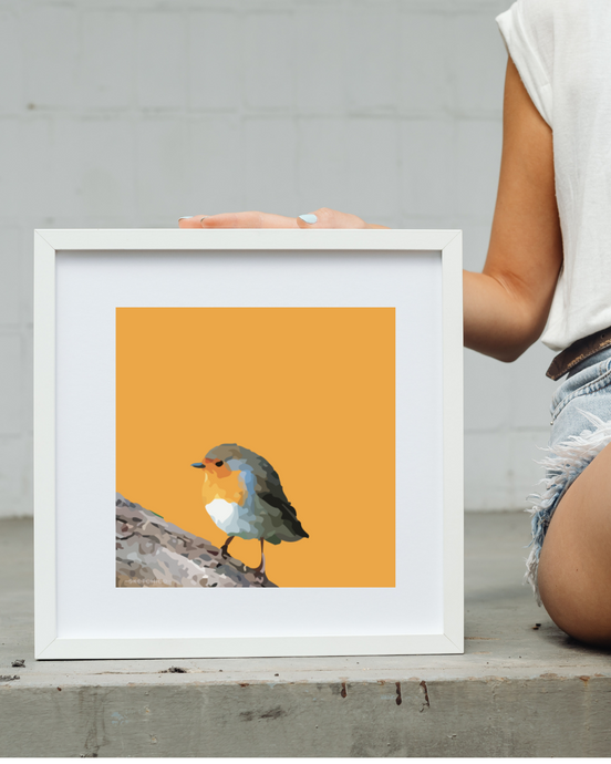 Orange Robin