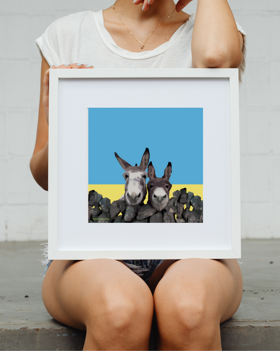 Irish Donkeys
