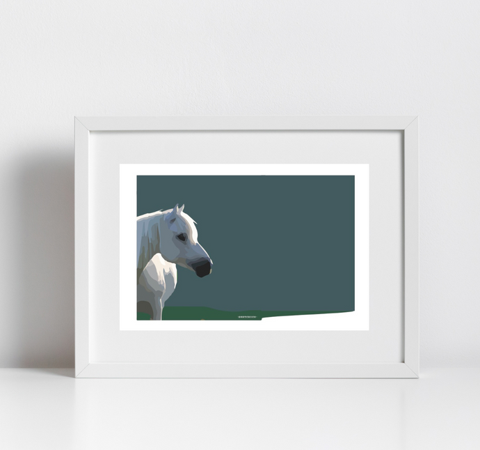 Connemara Pony Print