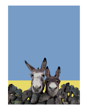 Load image into Gallery viewer, Irish Donkey&#39;s Art Print