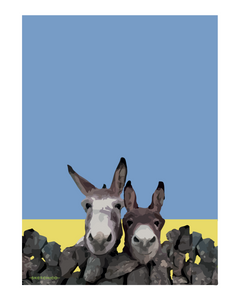 Irish Donkey's Art Print