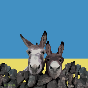 Irish Donkeys