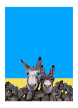 Load image into Gallery viewer, Irish Donkey&#39;s Art Print
