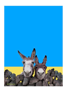 Irish Donkey's Art Print