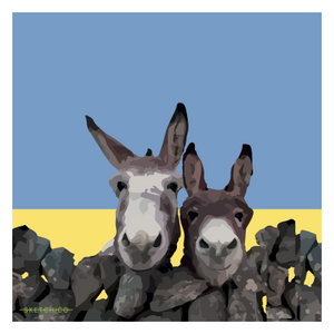 Irish Donkeys