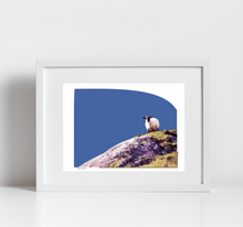 Load image into Gallery viewer, Irish Mountain Sheep Print