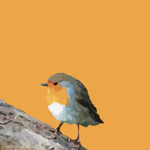Orange Robin