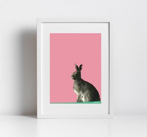 The Pink Hare Print