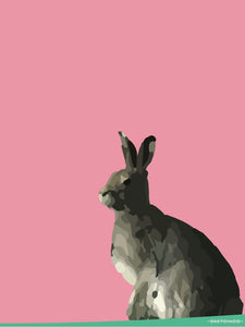 The Pink Hare Print