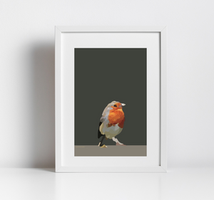 The Robin Print