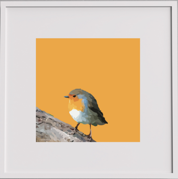 Orange Robin
