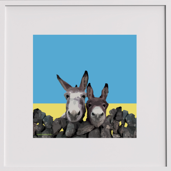 Irish Donkeys