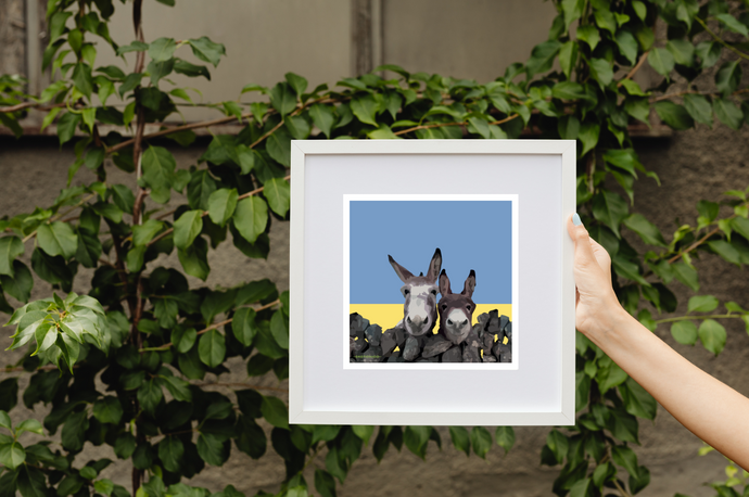 Irish Donkeys