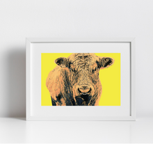Load image into Gallery viewer, Irish Bull