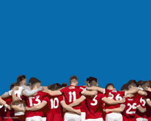 Load image into Gallery viewer, Cork Team Talk Print