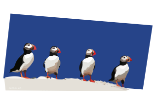 Four Puffins Print
