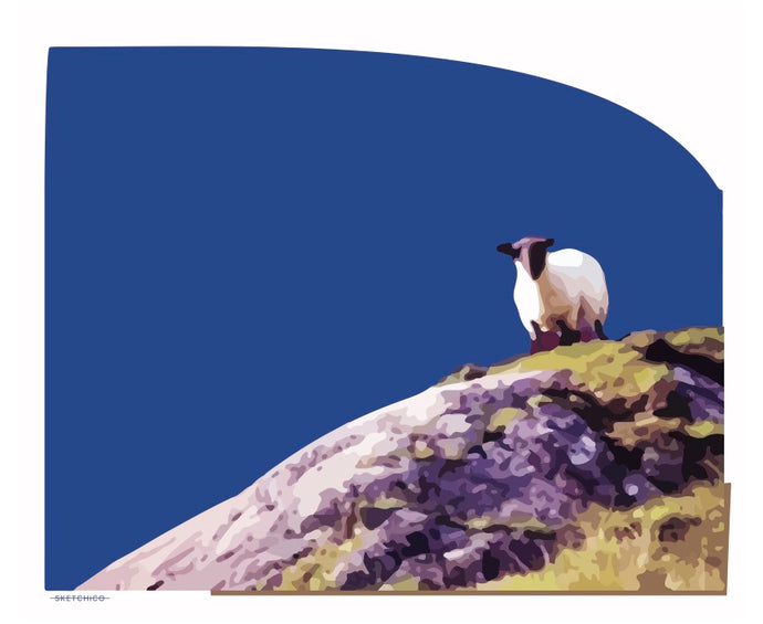 Mountain Sheep - SKETCHICO