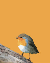 Load image into Gallery viewer, Orange Robin - SKETCHICO