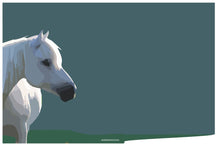 Load image into Gallery viewer, Connemara Pony - SKETCHICO