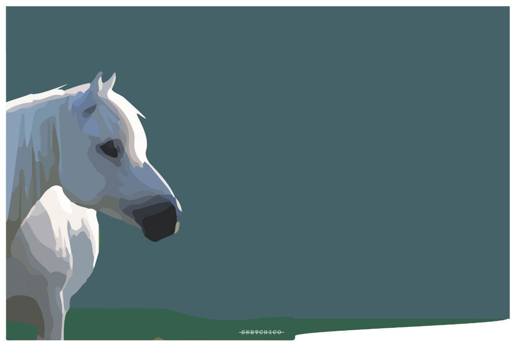 Connemara Pony - SKETCHICO