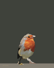 Load image into Gallery viewer, The Robin - SKETCHICO